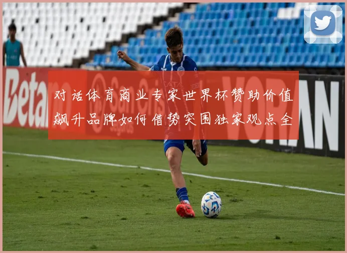 对话体育商业专家世界杯赞助价值飙升品牌如何借势突围独家观点全解析